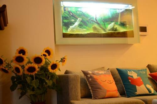 Apartamento Luna's Splendid Home