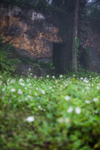 Hotel Melia Bavi Mountain Retreat