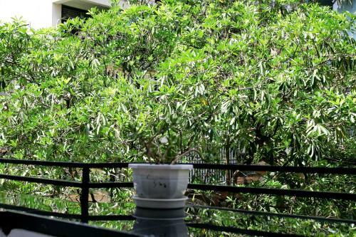 Bed & Breakfast Le Plateau Hanoi Hostel