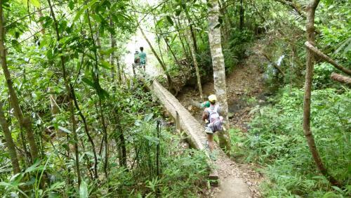 Bed & Breakfast Bach Ma Trekking Hillside Homestay