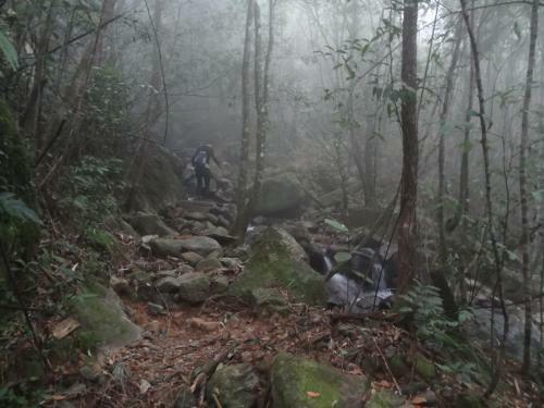 Bed & Breakfast Bach Ma Trekking Hillside Homestay