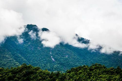 Bed & Breakfast Bach Ma Trekking Hillside Homestay