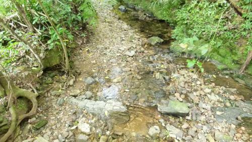 Bed & Breakfast Bach Ma Trekking Hillside Homestay