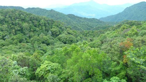 Bed & Breakfast Bach Ma Trekking Hillside Homestay