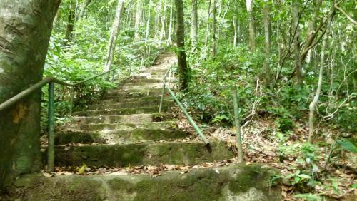 Bed & Breakfast Bach Ma Trekking Hillside Homestay