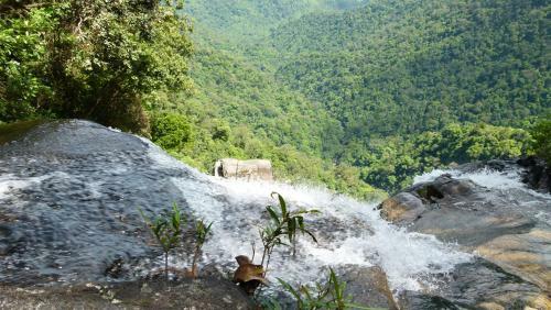 Bed & Breakfast Bach Ma Trekking Hillside Homestay