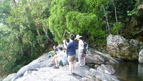 Bed & Breakfast Bach Ma Trekking Hillside Homestay