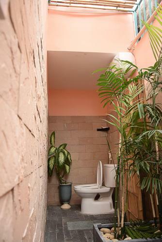 Apartamento P� House- Cozy Home