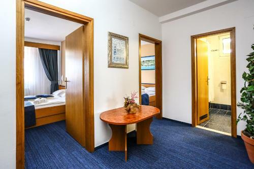 Hotel Drazica