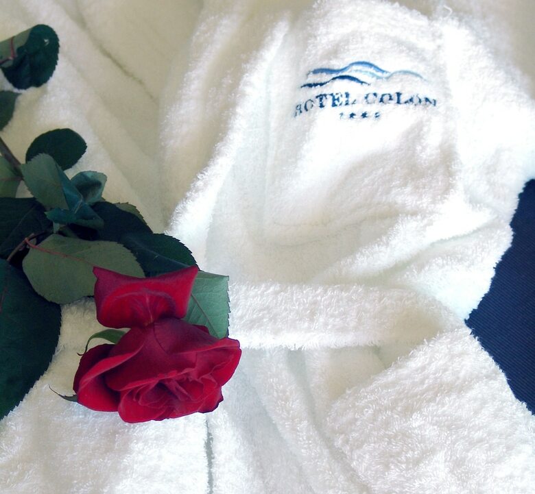 Hotel Col�n Thalasso Termal