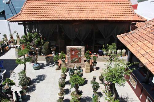 Hostal 91 Homestay, Cafe, Bonsai