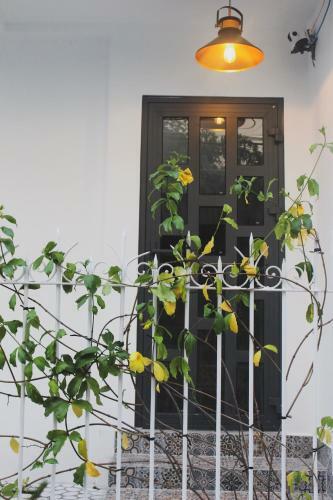 Hostal Amavi Homestay