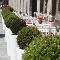 Hotel Waldorf Astoria Berlin