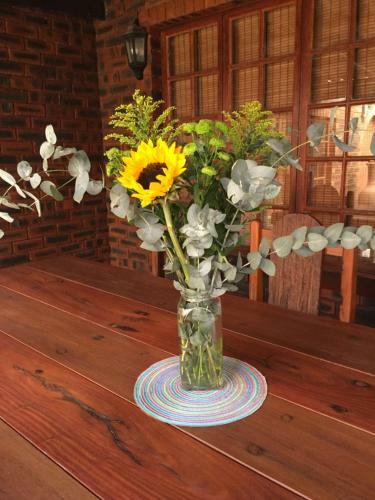 Hostal The Travel Inn Durban