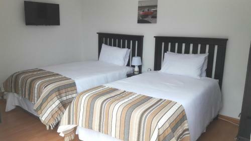 Bed & Breakfast Palm Tree Guesthouse
