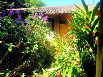 Hotel Pousada Magia Verde