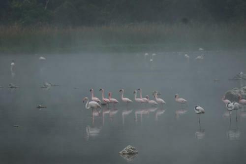 Hostal Bird's View