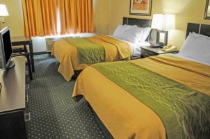 Hotel Comfort Inn & Suites North