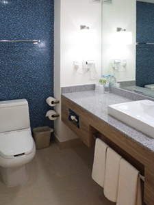 Hotel Holiday Inn Acapulco La Isla