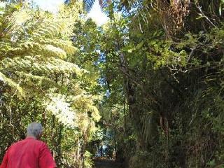Hotel Auckland's Waitakere Estate
