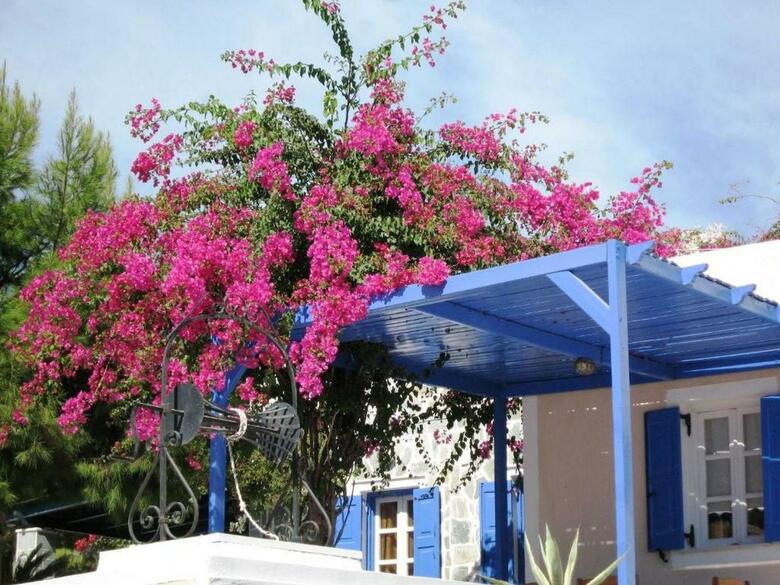 Best Western Paradise Hotel