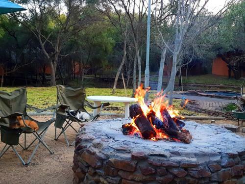 Warthogs Bush Camp