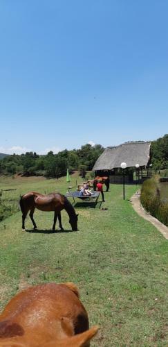 Stone Meadows Country Estate