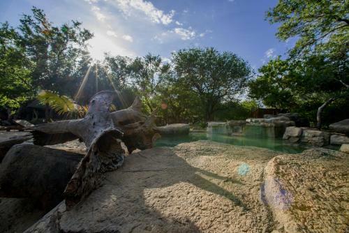 Boulders Safari Lodge