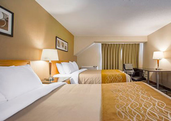 Hotel Comfort Inn Amherst