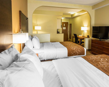 Hotel Comfort Suites Anderson