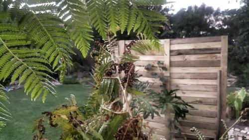 Apartamento Surfed Out - Sacred Studio Plett