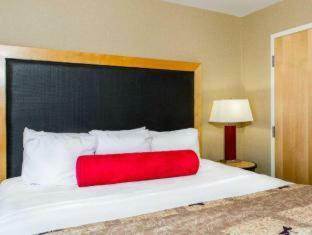Hotel Cambria Suites Appleton