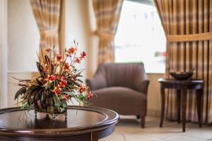 Hotel Econo Lodge Atlanta