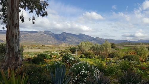 Agroturismo Windfall Wine Farm