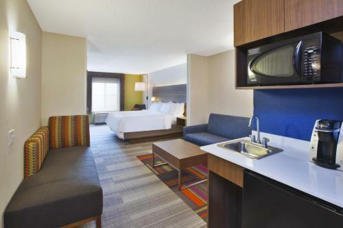 Holiday Inn Express Hotel & Suites Auburn Hills