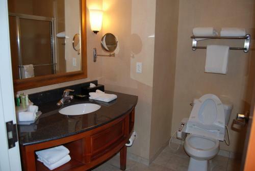 Holiday Inn Express Hotel & Suites Auburn Hills