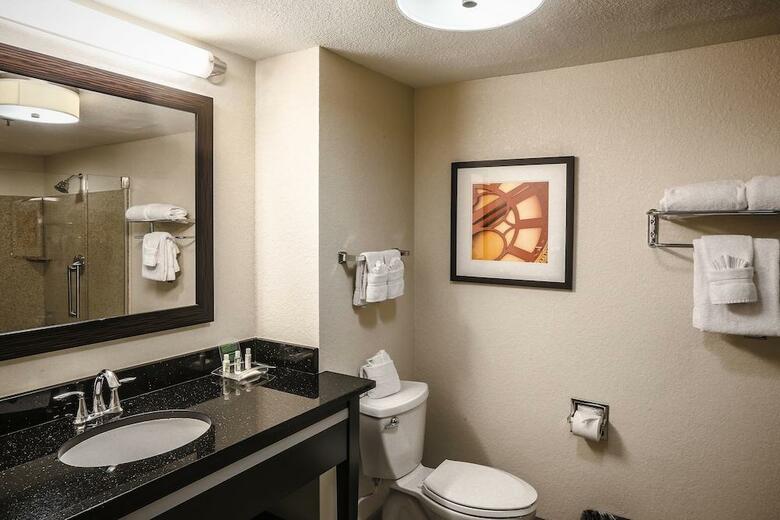Hotel Holiday Inn Austin Midtown