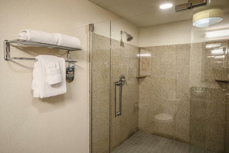 Hotel Holiday Inn Austin Midtown