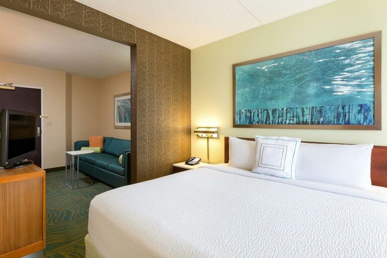 Hotel Springhill Suites By Marriott Austin South