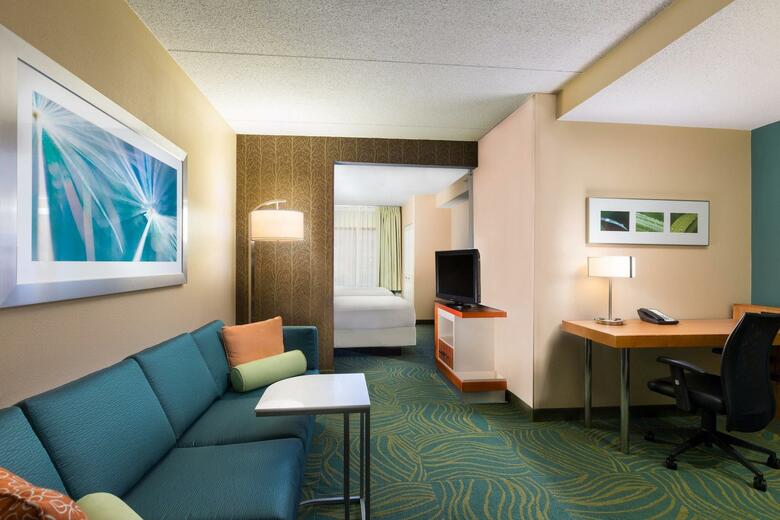 Hotel Springhill Suites By Marriott Austin South