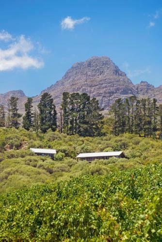 Bush Lodge At Hidden Valley Wines