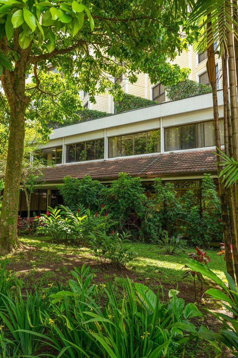 Hotel Barcel� San Jos�