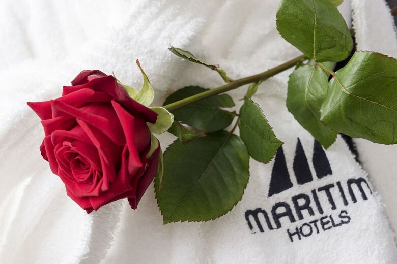 Maritim Hotel Darmstadt