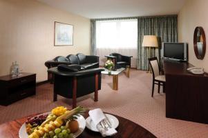 Hotel Maritim Rhein-main Darmstadt