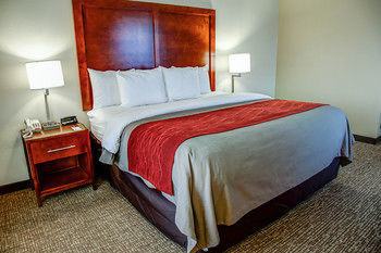 Hotel Comfort Inn Bessemer