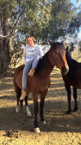 Agroturismo Khotso Lodge & Horse Trails