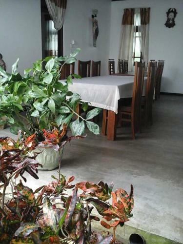 Hotel Lagoonvilla
