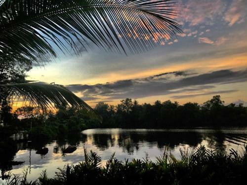 Hotel Yellow Elephant Riverside - Ayurveda Soul Escape