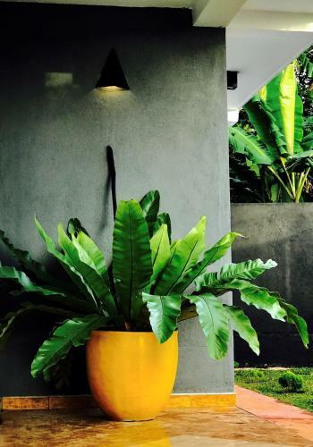 Hotel Yellow Elephant Riverside - Ayurveda Soul Escape