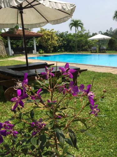 Hotel Cinnamon Villa